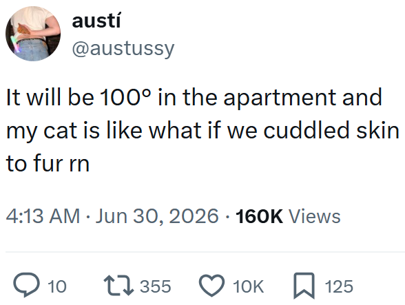 austí @austussy It will be 100° in the apartment and my cat is like what if we cuddled skin to fur rn 4:13 AM ⚫ Jun 30, 2026 · 160K Views ◇ 10 17355 10K 125