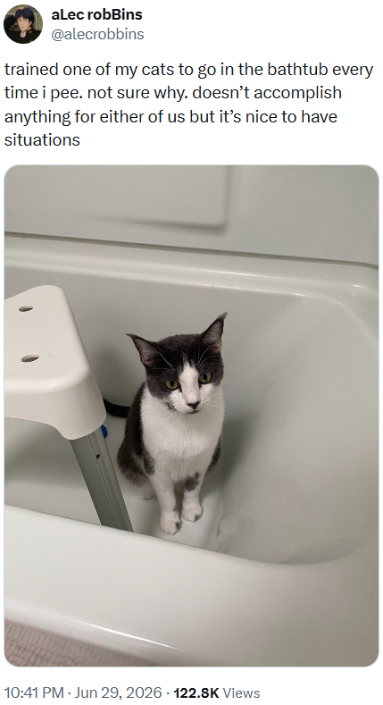 aLec robBins @alecrobbins trained one of my cats to go in the bathtub every time i pee. not sure why. doesn't accomplish anything for either of us but it's nice to have situations 10:41 PM - Jun 29, 2026 122.8K Views
