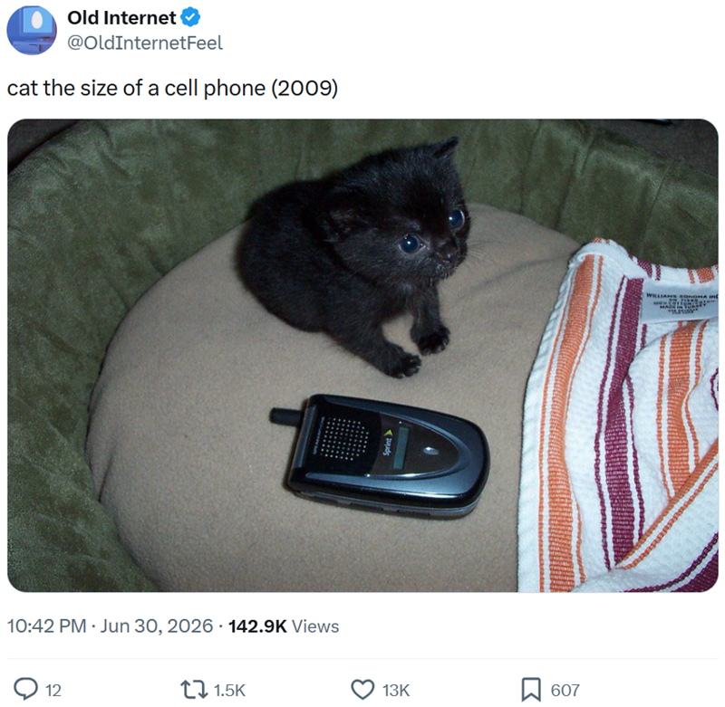 Old Internet @OldInternetFeel cat the size of a cell phone (2009) 10:42 PM ⚫ Jun 30, 2026 142.9K Views 12 1.5K Sprint➤ 13K 607 WILLIANN SONOMA IN MADE