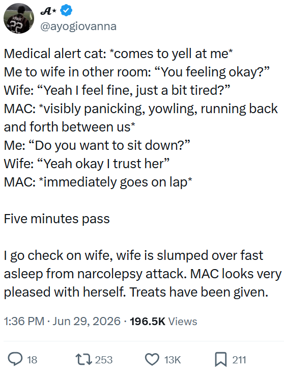 A⭑ @ayogiovanna Medical alert cat: *comes to yell at me* Me to wife in other room: "You feeling okay?" Wife: "Yeah I feel fine, just a bit tired?" MAC: *visibly panicking, yowling, running back and forth between us* Me: "Do you want to sit down?" Wife: "Yeah okay I trust her" MAC: *immediately goes on lap* Five minutes pass I go check on wife, wife is slumped over fast asleep from narcolepsy attack. MAC looks very pleased with herself. Treats have been given. 1:36 PM - Jun 29, 2026 196.5K Views