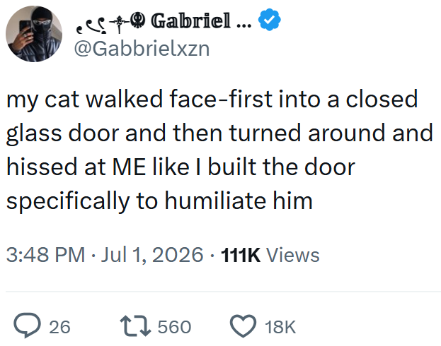 Gabriel ... @Gabbrielxzn my cat walked face-first into a closed glass door and then turned around and hissed at ME like I built the door specifically to humiliate him 3:48 PM • Jul 1, 2026 · 111K Views > 26 17560 18K