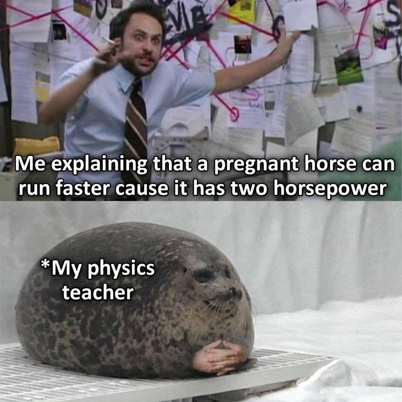 Me explaining that a pregnant horse can run faster cause it has two horsepower *My physics teacher