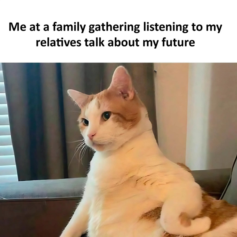 Me at a family gathering listening to my relatives talk about my future