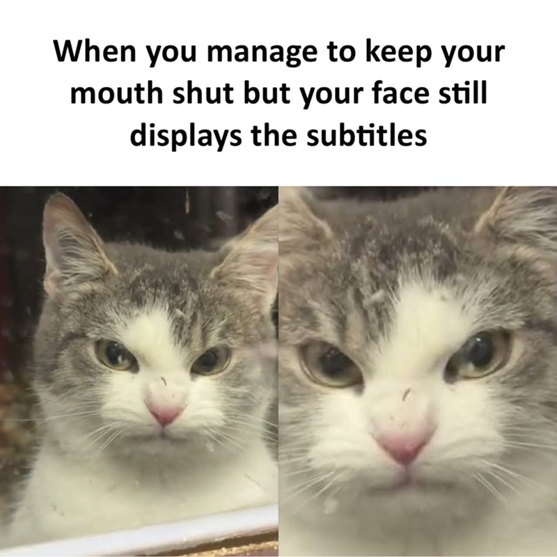 When you manage to keep your mouth shut but your face still displays the subtitles