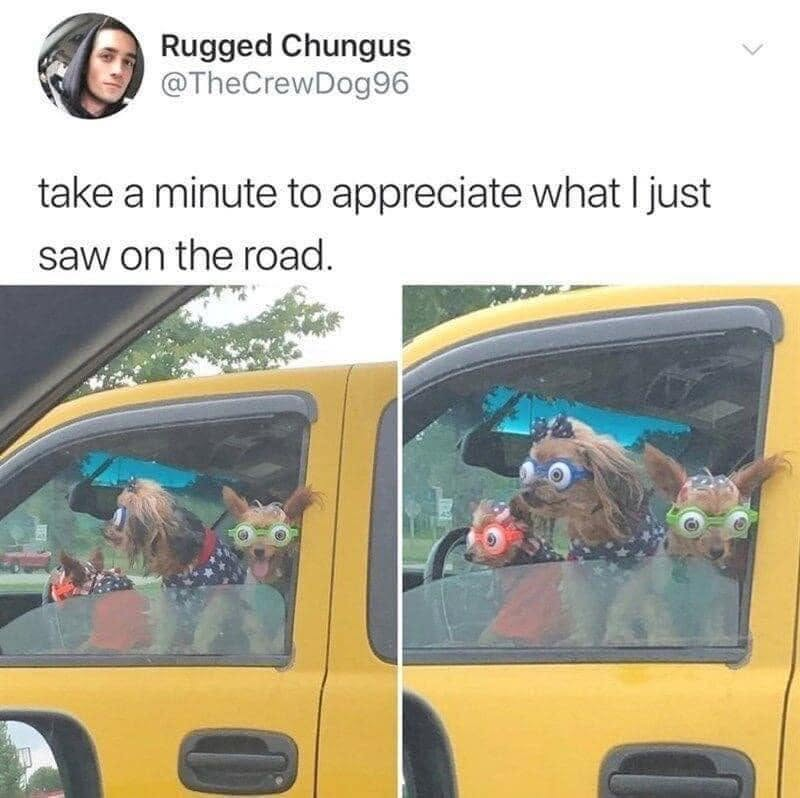 Rugged Chungus @TheCrewDog96 take a minute to appreciate what I just saw on the road.