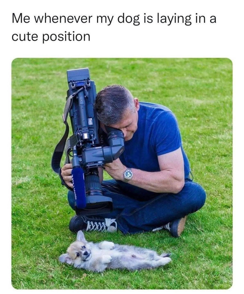 Me whenever my dog is laying in a cute position