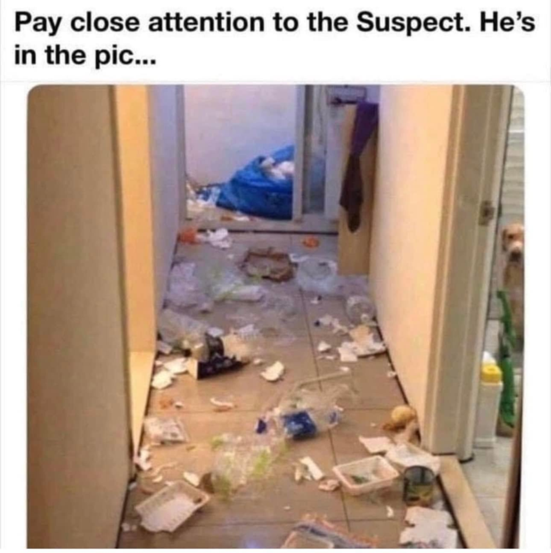 Pay close attention to the Suspect. He's in the pic...