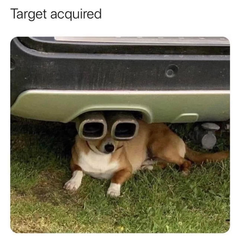 Target acquired