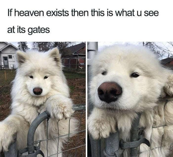 If heaven exists then this is what u see at its gates