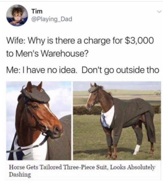 Tim @Playing_Dad Wife: Why is there a charge for $3,000 to Men's Warehouse? Me: I have no idea. Don't go outside tho > Horse Gets Tailored Three-Piece Suit, Looks Absolutely Dashing