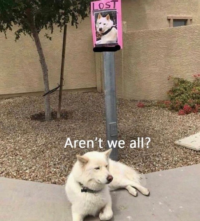 LOST Aren't we all?