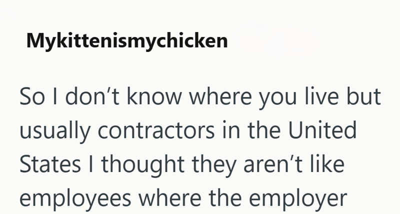 Mykittenismychicken So I don't know where you live but usually contractors in the United States I thought they aren't like employees where the employer