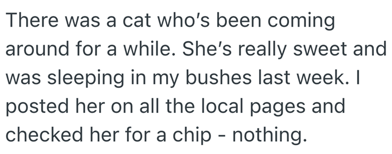 There was a cat who's been coming around for a while. She's really sweet and was sleeping in my bushes last week. I posted her on all the local pages and checked her for a chip - nothing.