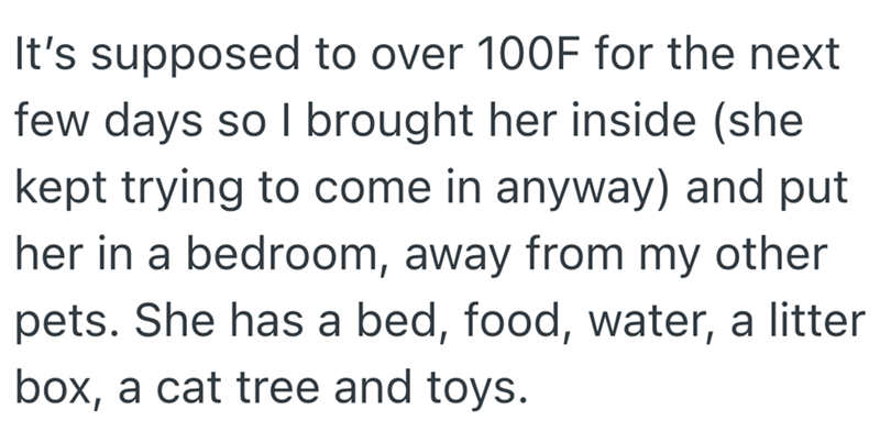 It's supposed to over 100F for the next few days so I brought her inside (she kept trying to come in anyway) and put her in a bedroom, away from my other pets. She has a bed, food, water, a litter box, a cat tree and toys.