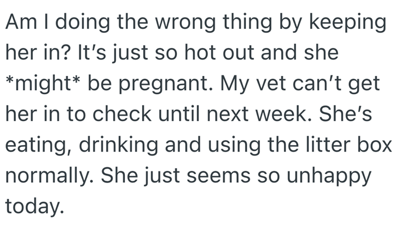 Am I doing the wrong thing by keeping her in? It's just so hot out and she *might* be pregnant. My vet can't get her in to check until next week. She's eating, drinking and using the litter box normally. She just seems so unhappy today.