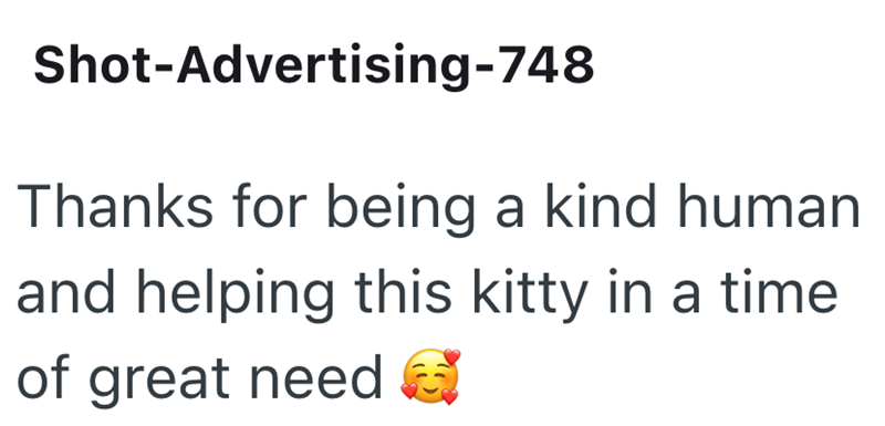 Shot-Advertising-748 Thanks for being a kind human and helping this kitty in a time of great need