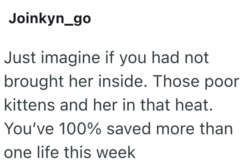 Joinkyn_go Just imagine if you had not brought her inside. Those poor kittens and her in that heat. You've 100% saved more than one life this week