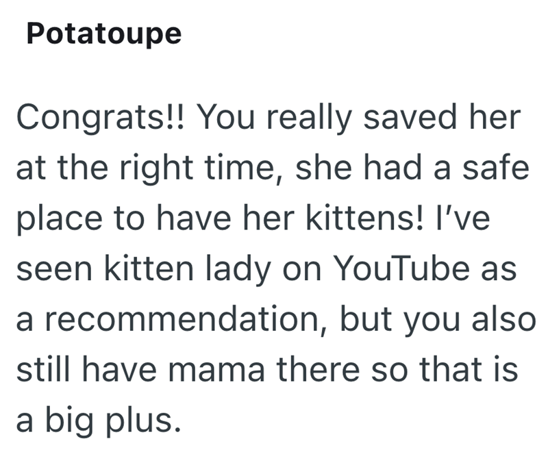 Potatoupe Congrats!! You really saved her at the right time, she had a safe place to have her kittens! I've seen kitten lady on YouTube as a recommendation, but you also still have mama there so that is a big plus.
