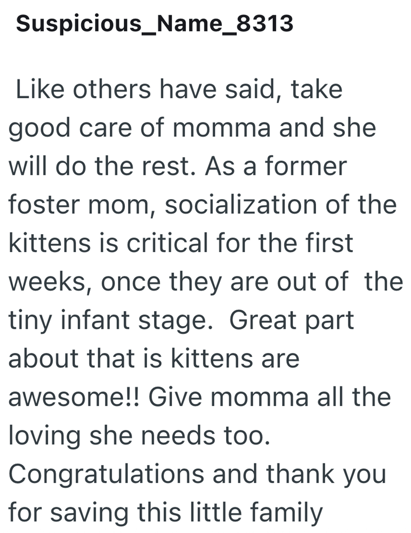 Suspicious_Name_8313 Like others have said, take good care of momma and she will do the rest. As a former foster mom, socialization of the kittens is critical for the first weeks, once they are out of the tiny infant stage. Great part about that is kittens are awesome!! Give momma all the loving she needs too. Congratulations and thank you for saving this little family