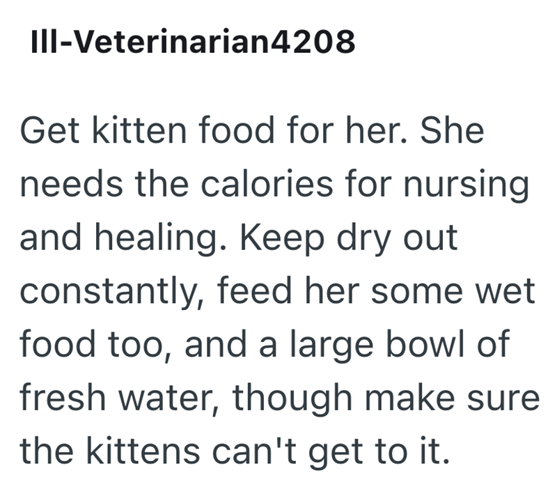 III-Veterinarian4208 Get kitten food for her. She needs the calories for nursing and healing. Keep dry out constantly, feed her some wet food too, and a large bowl of fresh water, though make sure the kittens can't get to it.