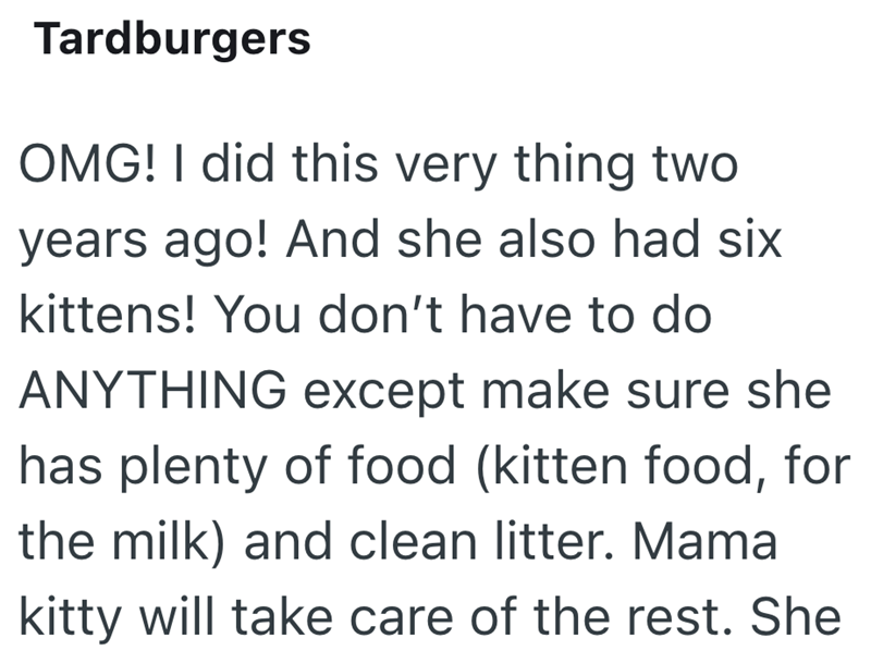 Tardburgers OMG! I did this very thing two years ago! And she also had six kittens! You don't have to do ANYTHING except make sure she has plenty of food (kitten food, for the milk) and clean litter. Mama kitty will take care of the rest. She