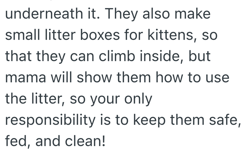 underneath it. They also make small litter boxes for kittens, so that they can climb inside, but mama will show them how to use the litter, so your only responsibility is to keep them safe, fed, and clean!