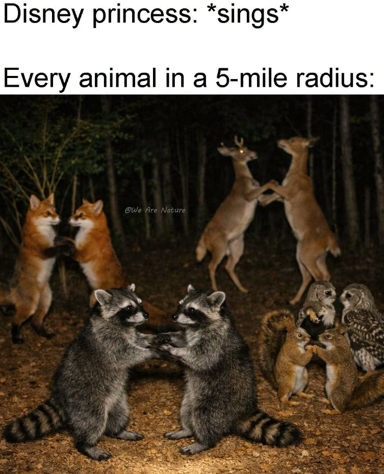 Disney princess: *sings* Every animal in a 5-mile radius: @We Are Nature