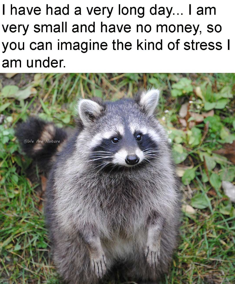I have had a very long day... I am very small and have no money, so you can imagine the kind of stress I am under. @We Are Nature