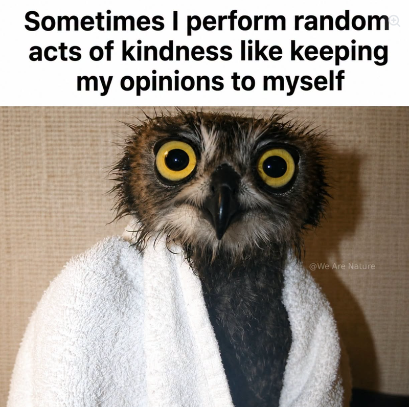 Sometimes I perform random acts of kindness like keeping my opinions to myself @We Are Nature