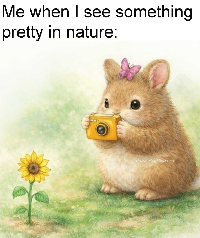 Me when I see something pretty in nature: @We Are Nature