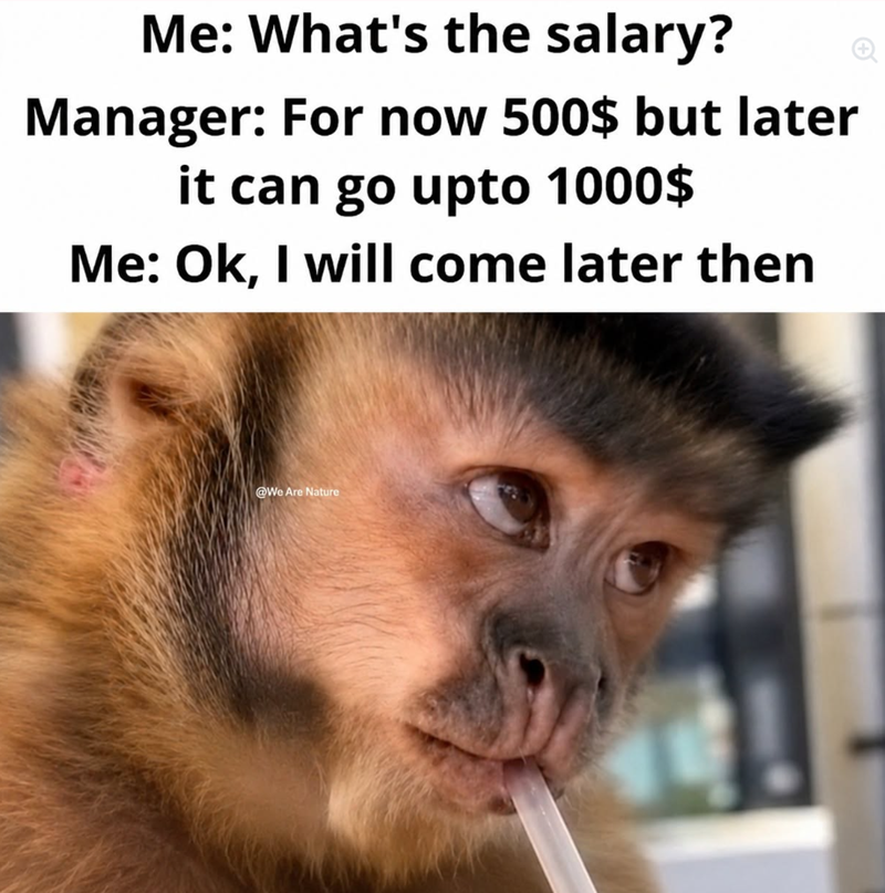 Me: What's the salary? Manager: For now 500$ but later it can go upto 1000$ Me: Ok, I will come later then @We Are Nature