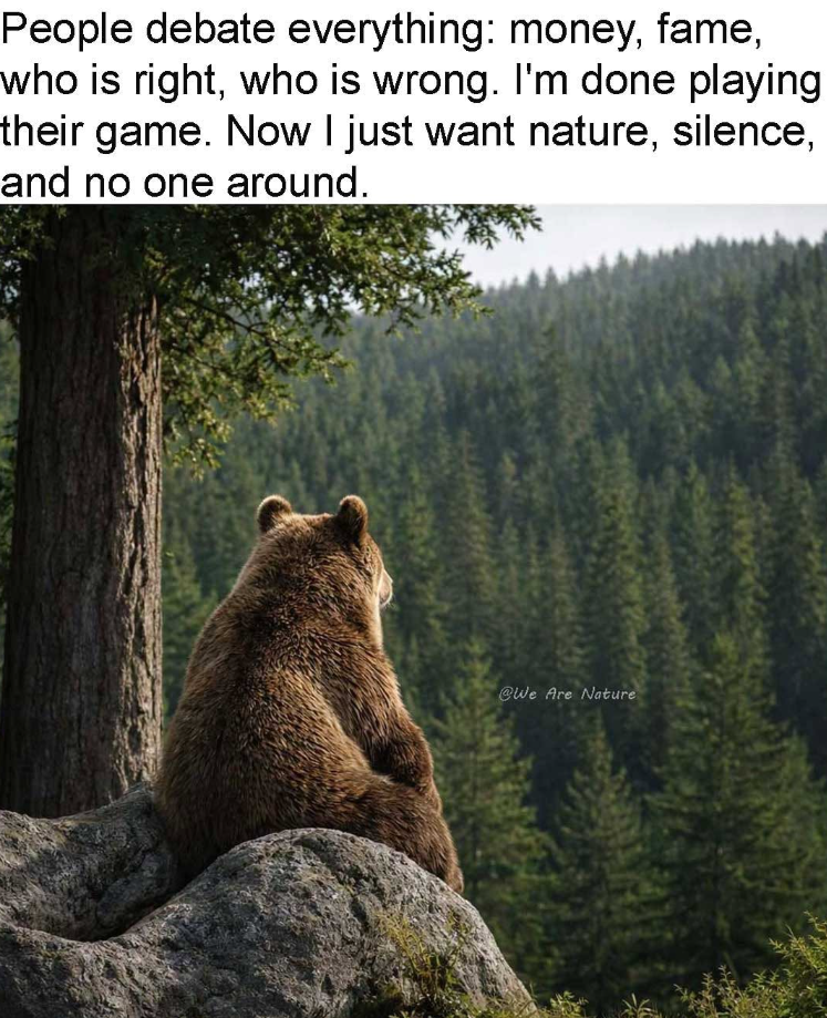 People debate everything: money, fame, who is right, who is wrong. I'm done playing their game. Now I just want nature, silence, and no one around. @We Are Nature