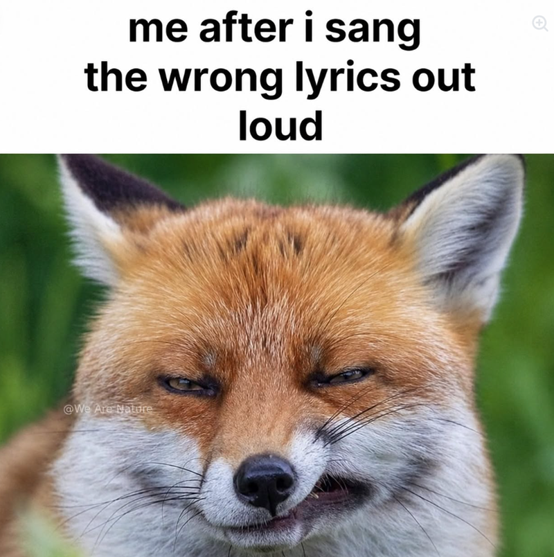 me after i sang the wrong lyrics out loud @We Are Nature