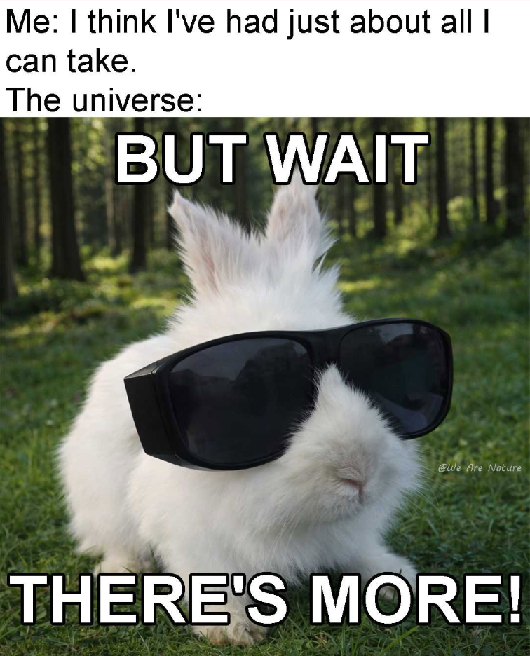 Me: I think I've had just about all I can take. The universe: BUT WAIT @We Are Nature THERE'S MORE!