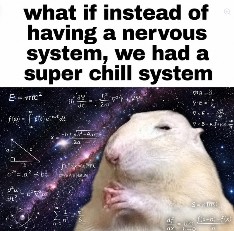 what if instead of having a nervous system, we had a super chill system E = mc² Ꭷ . h2 ih V2Y+VY at 2m f(w)= ft) et dt -b±√b2-4ac 2a b c² = a² + b² C fe* dx = e+C @We Are Nature ди at² C² V²u M8 n=1 n² 17 V.E = VB=O ·P. Eo ав at VxE= VxB = MoJ+με ДЕ at S=kin π 6 df = lim dx h→0 f(x+h)-f(x) h