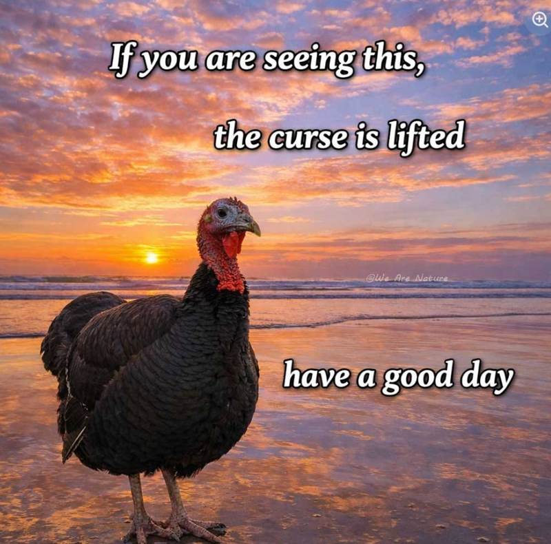 If you are seeing this, the curse is lifted @We Are Nature have a good day