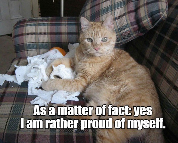 Cheezburger Image 10644803328