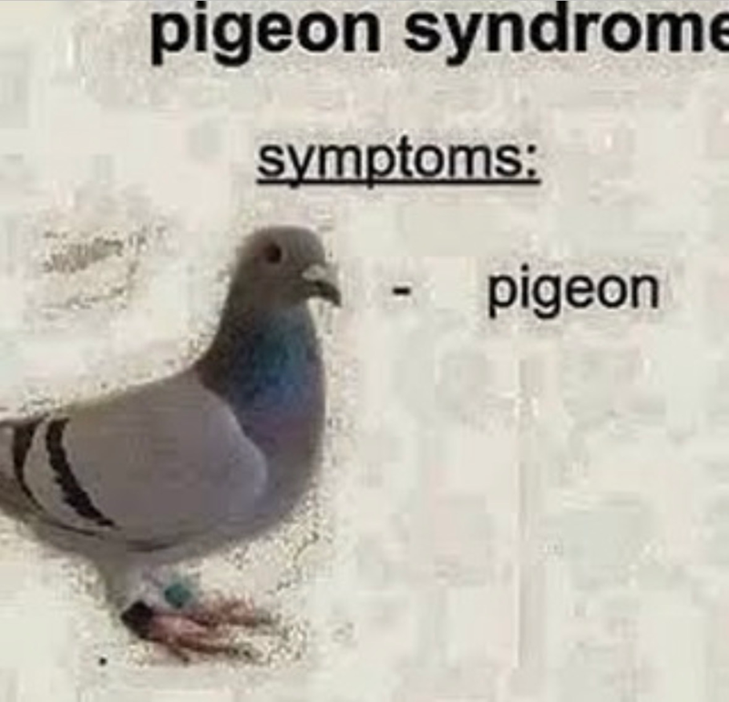 pigeon syndrome symptoms: pigeon