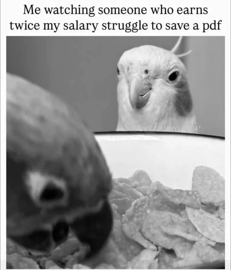 Me watching someone who earns twice my salary struggle to save a pdf