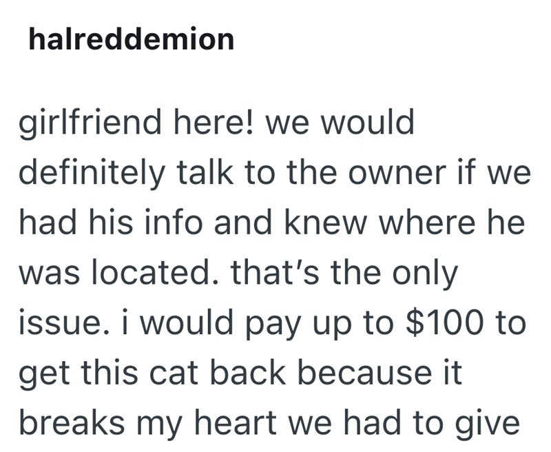 halreddemion girlfriend here! we would definitely talk to the owner if we had his info and knew where he was located. that's the only issue. i would pay up to $100 to get this cat back because it breaks my heart we had to give