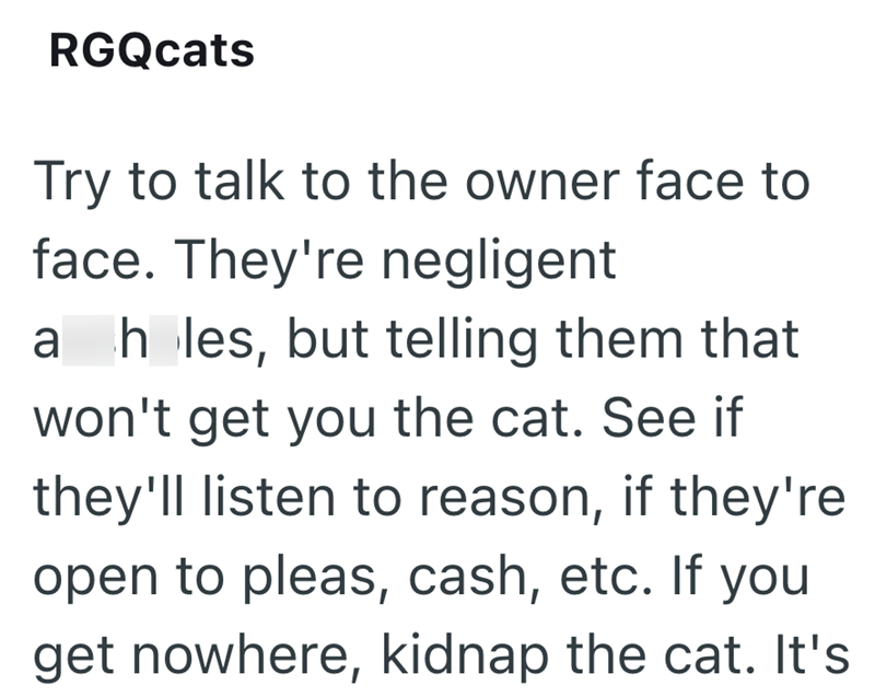 RGQcats Try to talk to the owner face to face. They're negligent a holes, but telling them that won't get you the cat. See if they'll listen to reason, if they're open to pleas, cash, etc. If you get nowhere, kidnap the cat. It's