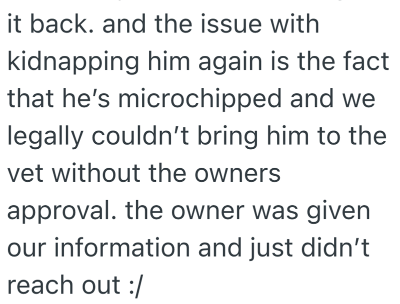it back. and the issue with kidnapping him again is the fact that he's microchipped and we legally couldn't bring him to the vet without the owners approval. the owner was given our information and just didn't reach out :/
