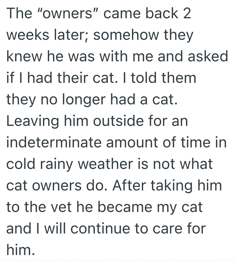 The "owners" came back 2 weeks later; somehow they knew he was with me and asked if I had their cat. I told them they no longer had a cat. Leaving him outside for an indeterminate amount of time in cold rainy weather is not what cat owners do. After taking him to the vet he became my cat and I will continue to care for him.