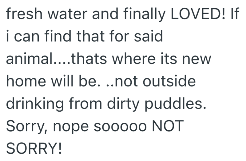 fresh water and finally LOVED! If i can find that for said animal....thats where its new home will be. ..not outside drinking from dirty puddles. Sorry, nope sooooo NOT SORRY!