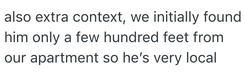 also extra context, we initially found him only a few hundred feet from our apartment so he's very local