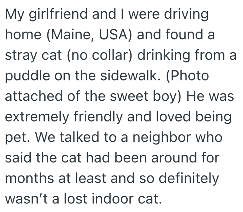 My girlfriend and I were driving home (Maine, USA) and found a stray cat (no collar) drinking from a puddle on the sidewalk. (Photo attached of the sweet boy) He was extremely friendly and loved being pet. We talked to a neighbor who said the cat had been around for months at least and so definitely wasn't a lost indoor cat.