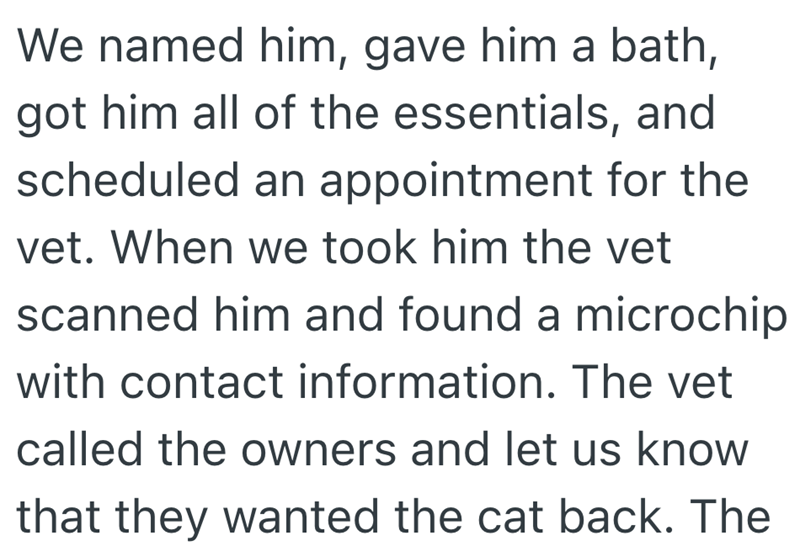 We named him, gave him a bath, got him all of the essentials, and scheduled an appointment for the vet. When we took him the vet scanned him and found a microchip with contact information. The vet called the owners and let us know that they wanted the cat back. The