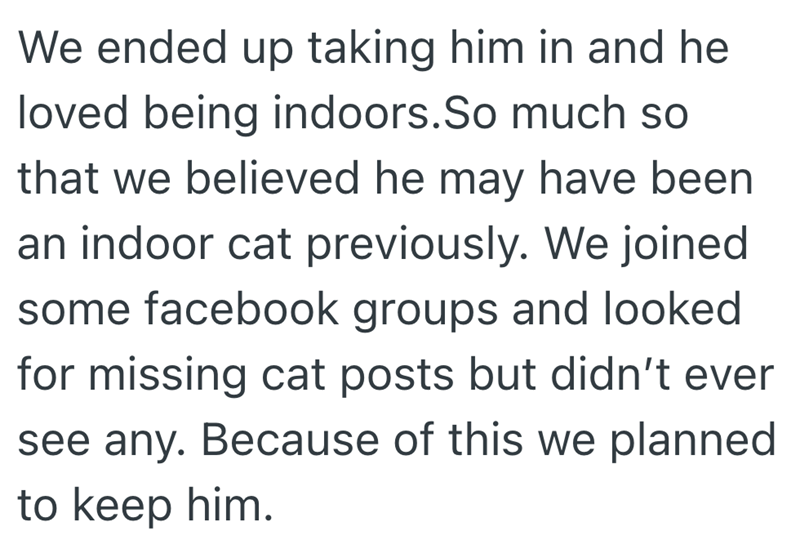 We ended up taking him in and he loved being indoors. So much so that we believed he may have been an indoor cat previously. We joined some facebook groups and looked for missing cat posts but didn't ever see any. Because of this we planned to keep him.