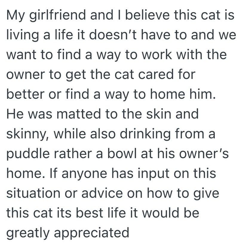 My girlfriend and I believe this cat is living a life it doesn't have to and we want to find a way to work with the owner to get the cat cared for better or find a way to home him. He was matted to the skin and skinny, while also drinking from a puddle rather a bowl at his owner's home. If anyone has input on this situation or advice on how to give this cat its best life it would be greatly appreciated