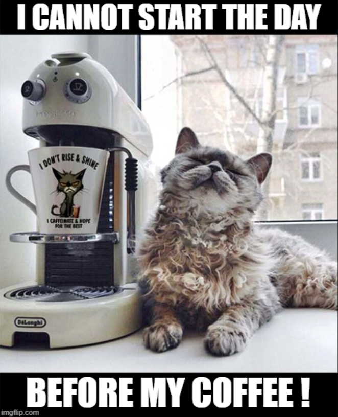 I CANNOT START THE DAY SsLongh रा I DON'T RISE&SHINE CAFFEINATE&HOPE FOR THE BEST BEFORE MY COFFEE! imgflip.com
